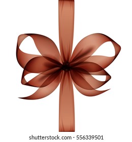 Vector Brown Transparent Bow and Ribbon Top View Close up Isolated on White Background