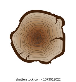 Vector brown tree rings. Cross section of the trunk isolated on white background. Wooden stump.