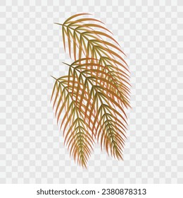 Vector brown tropical leaves of different plants on white background.