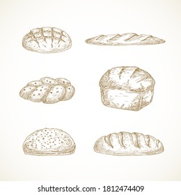 Vector Brread Sketches Set. Hand Drawn Illustrations of Challa, Sourdough Loaf, Brick and Baguette. Isolated.