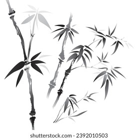 Vector of brush effect bamboo. Black and white bamboo with white background.