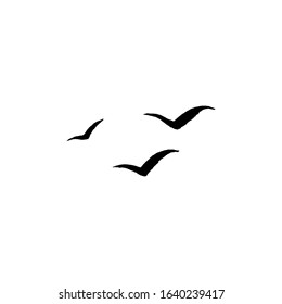 Vector brush illustration of flying birds. Three seagals soaring in the clear sky. handdrawn template for design