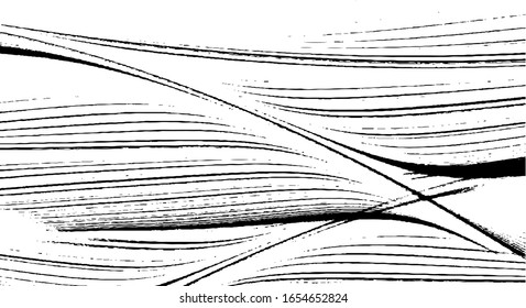 Textura de broca de pincel vectorial. Fondo desigual y angustiado. Ilustración abstracta de vector perturbada. Superponer cualquier diseño para crear un efecto interesante y profundidad. Negro aislado en blanco. EPS10