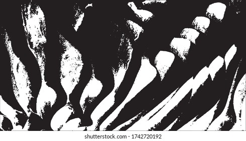 Vector brush sroke texture. Distressed uneven grunge background. Abstract distressed vector illustration. Overlay over any design to create interesting effect and depth. Black isolated on white. EPS10