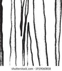 Vector brush sroke texture. Distressed uneven grunge background. Abstract distressed vector illustration. Overlay over any design to create interesting effect and depth. Black isolated on white. EPS10