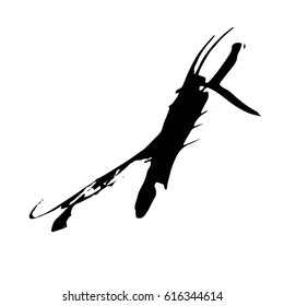 Vector Brush Stroke. Grunge Ink pen. Distressed quill. Black Modern Textured pen Stroke.