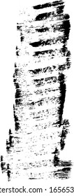 Vector brush strokes. Hand drawn brush splash. Real paint strokes. Graphic resources. Dry brush