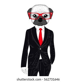 Vector brutal french bulldog in elegant classic suit. Hand drawn anthropomorphic dog with glasses, illustration for t-shirt print, kids greeting card, invitation for pet party.