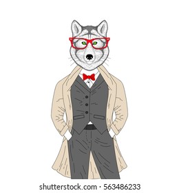 Vector brutal wolf in elegant classic suit with coat. Hand drawn anthropomorphic animal with glasses, illustration for t-shirt print, kids greeting card, invitation template, tattoo design