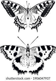 Brujas vectoriales - Vector vintage brutalmente
