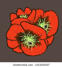 Vector bud of red poppy. Poppy vector illustration