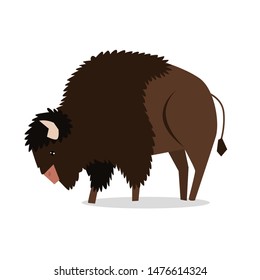 Vector buffalo. cartoon bull. Vector illustration of a bison.

