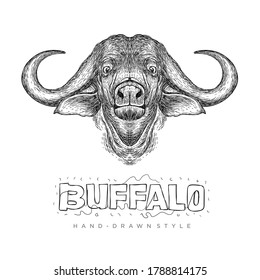 vector buffalo head, realistic animal illustration with hand drawn style