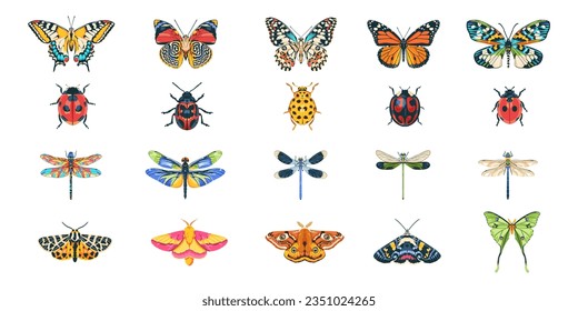 vector bug exotic insects cartoon set illustration isolated