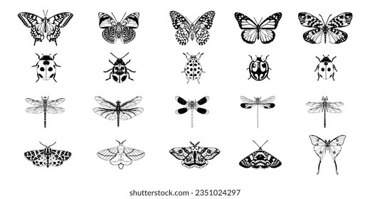 vector bug exotic insects cartoon set illustration isolated