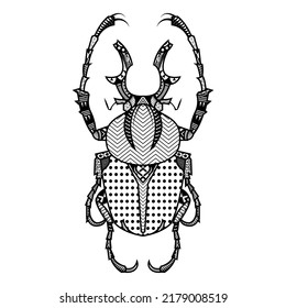 Vector bug of hand drawn insects illustrations. Abstract beetle black coloring book.