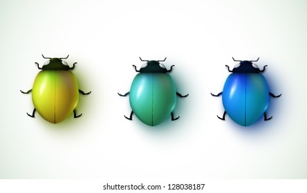 vector bug illustration