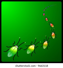 vector bugs