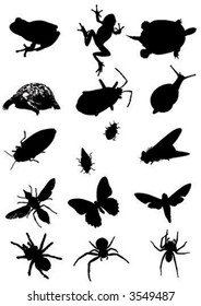 vector bugs and animals