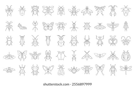 Vector Bugs Exotic Cartoon Decorative Insects Set Illustration Isolated