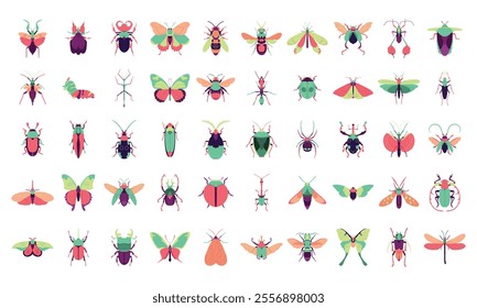 Vector Bugs Exotic Cartoon Decorative Insects Set Illustration Isolated