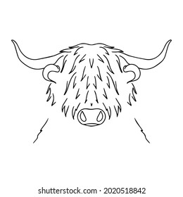 Vector bull. Long-haired buffalo illustration. Sketch of a hoofed animal tattoo. Strong horned animal logo. Domestic cattle.
