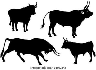 Vector Bull Silhouette Set
