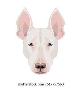 Vector bull terier breed dog face pet zoo icon