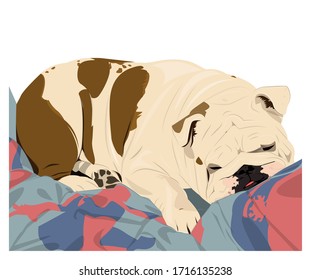 Vector Bulldog wrinkled face napping