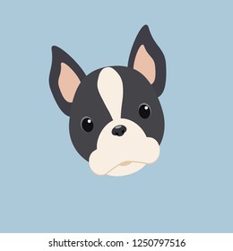 Vector of a bulldog's face