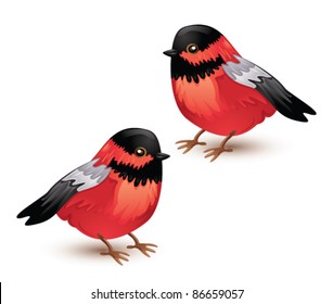 Vector bullfinch