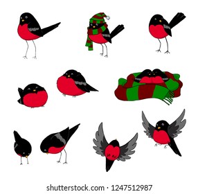 Vector bullfinch set. For decorating, design, post cards, prints, etc.