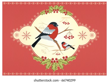 Vector bullfinches on branches in winter .New year card holiday