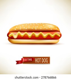 vector bun with sausage (hot dog) isolated on a white background 