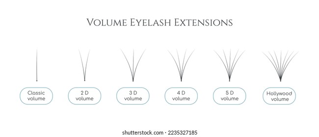 Grupo vectorial de pestañas artificiales para extensiones de latigazos de volumen. Guía profesional de lashmaker para la formación de diferentes tipos de paquetes. Materiales para el tweezo para el procedimiento de belleza del salón por maestro