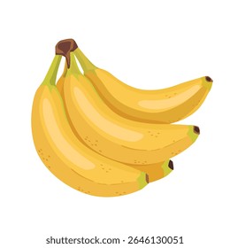 Vector manojo de plátanos, ilustración plana de dibujos animados de tres frutas tropicales amarillas aisladas de fondo blanco