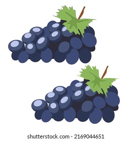 Vectores de uvas de color negro azul violeta con estilo plano de hoja con sombras