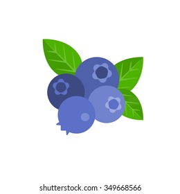 Vector bunch of blueberry, flat design