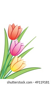 vector bunch of colorful tulips. 