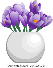 Vector bunch of crocus flowers in white clay vase flat style isolated on white background