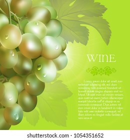 Vector bunch of the fresh green grapes with the green leaves and the dew droplets on a green background with glow flare, grape logo and placeholder text