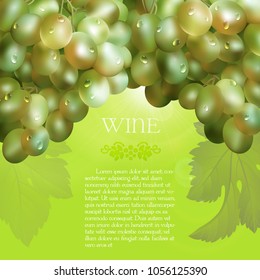 Vector bunch of the fresh green grapes with the green leaves and the dew droplets on a green background with glow flare, grape logo and placeholder text