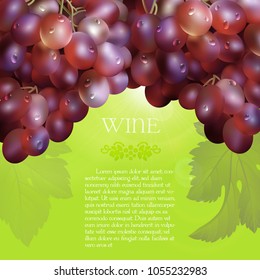 Vector bunch of the fresh red grapes with the green leaves and the dew droplets on a green background with glow flare, grape logo and placeholder text