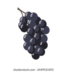 Vektorgrafik von Bunch Fresh Ripe Black Traube