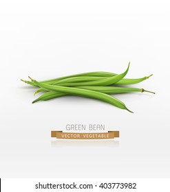 vector bunch of green beans isolated on white background