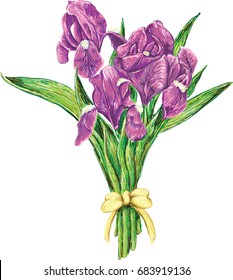 The Vector  bunch irises flower for T-shirt design or outwear and or material.
