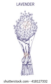 Vector bunch of Lavender flowers in paper with ribbon. Hand drawn vintage  herbal sketch.
