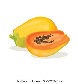 Vector manojo de papaya. La papaya es una fruta tropical