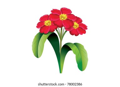 Vector of a bunch of Primroses svg