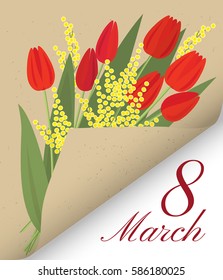 Vector bunch of red tulips and Acacia dealbata in wrapped kraft paper corner. Card for women's day.